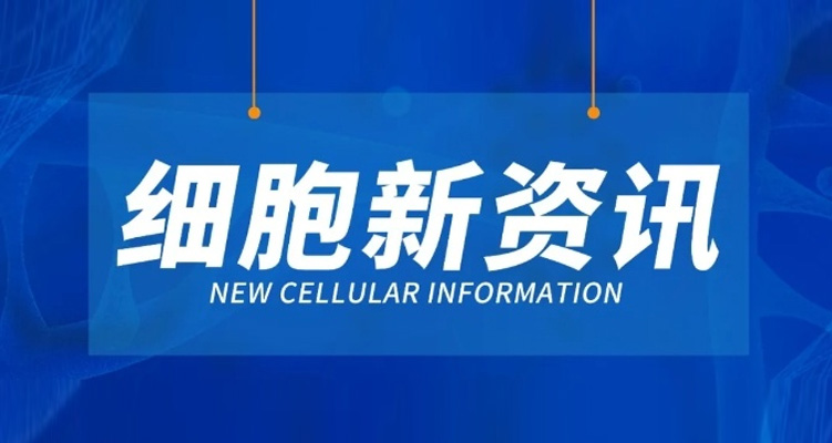 細胞新資訊 | 盤點近期國內細胞領域前沿資訊