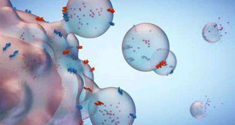 外泌體：一種潛在的藥物遞送系統