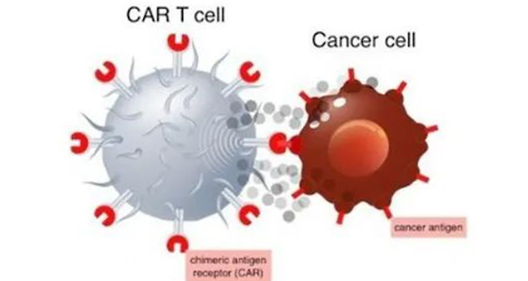 非病毒CAR-T細胞療法：癌癥治療的&ldquo;無病毒&rdquo;革命？